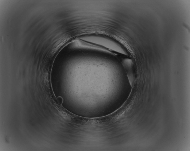 X0000092310881200710051236