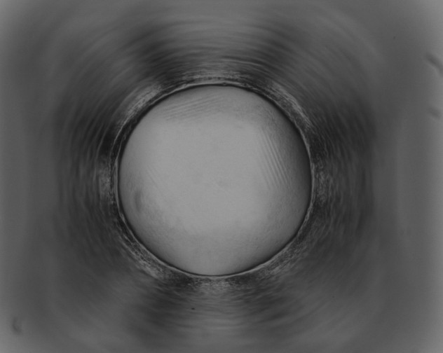 X0000092310882200710051236