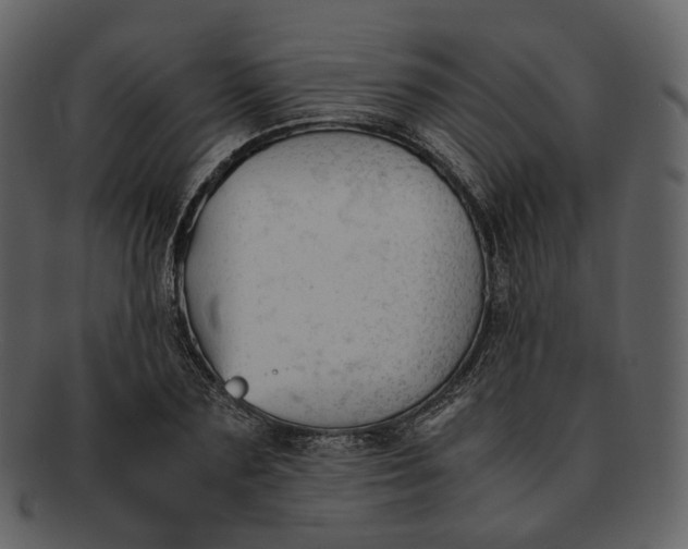X0000092310883200710051236