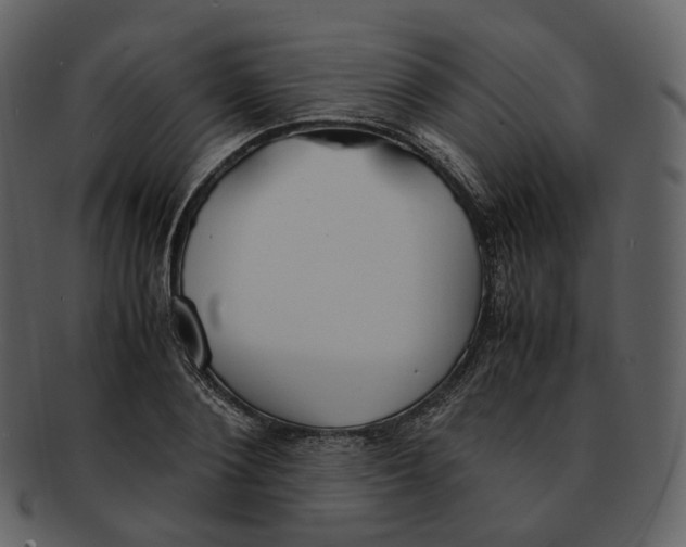 X0000092310884200710051236