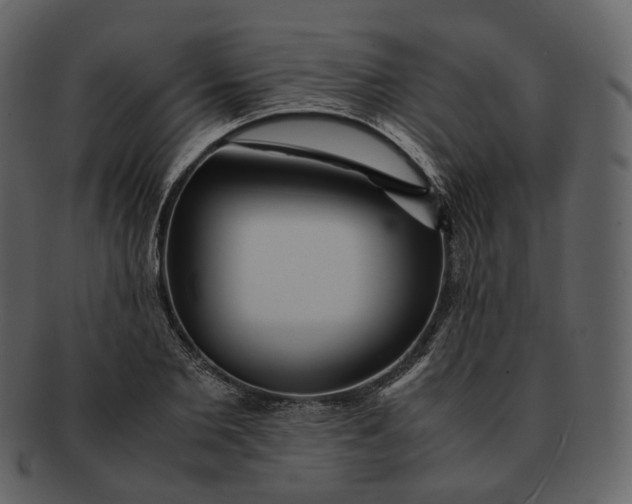 X0000092310885200710051236