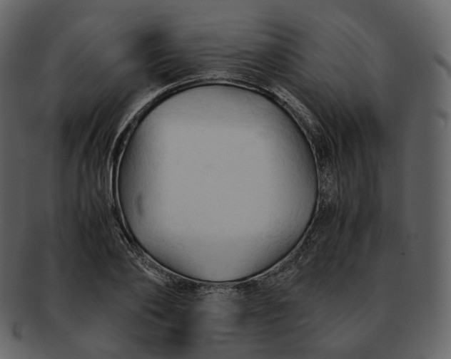 X0000092310886200710051236