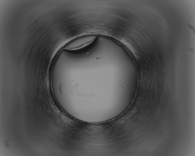 X0000092310888200710051236