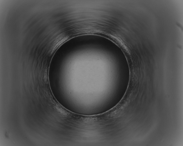 X0000092310889200710051236