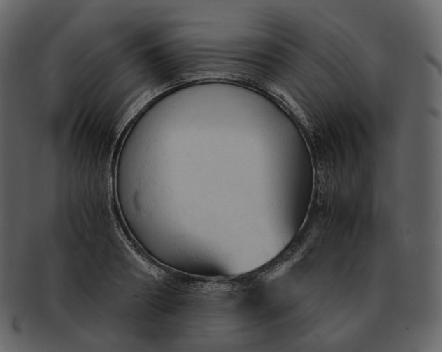 X0000092310890200710051236