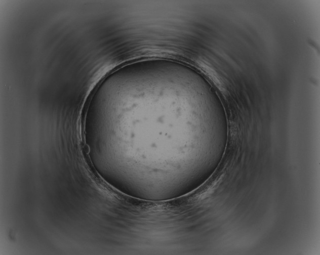 X0000092310891200710051236