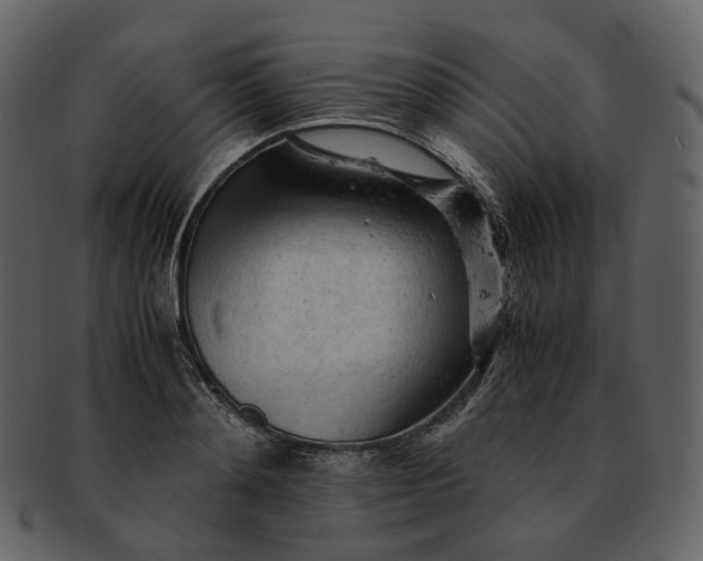 X0000092310892200710051236