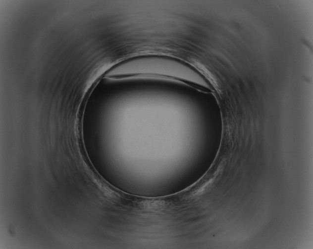 X0000092310893200710051236