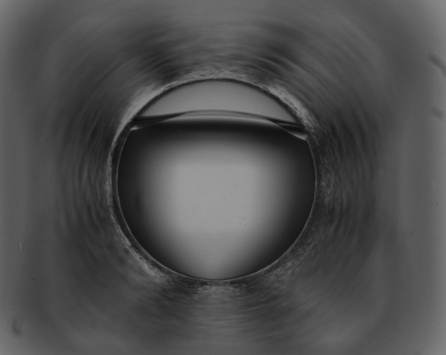 X0000092310894200710051236