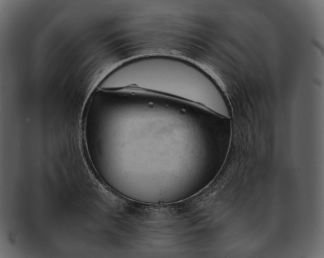 X0000092310895200710051236