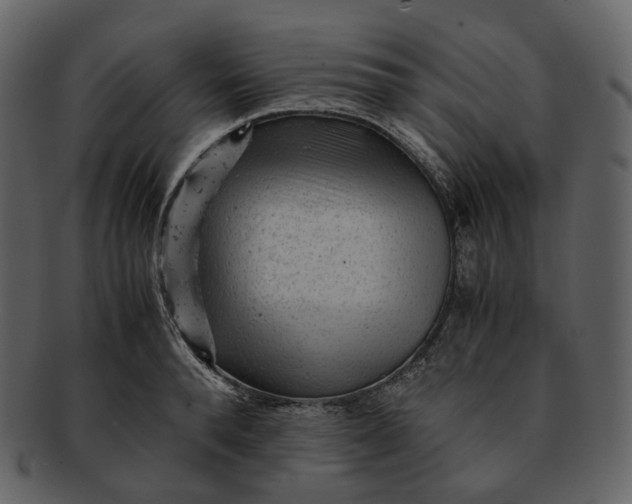 X0000092310896200710051236