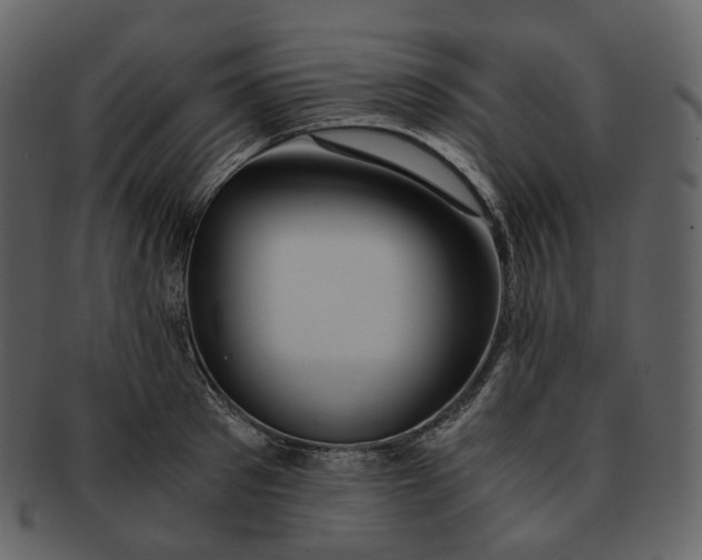 X0000092310897200710051236