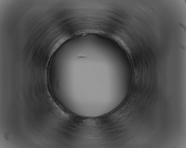 X0000092310898200710051236
