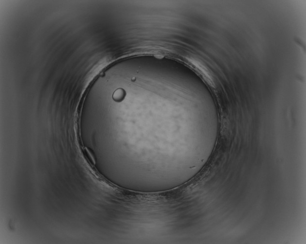 X0000092310899200710051236