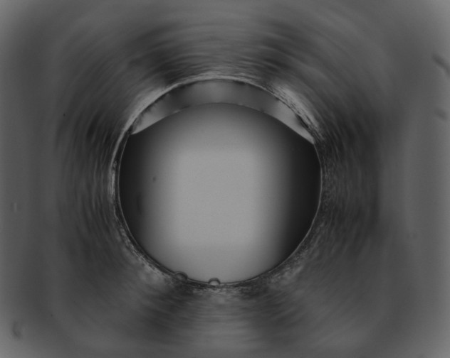 X0000092310900200710051236