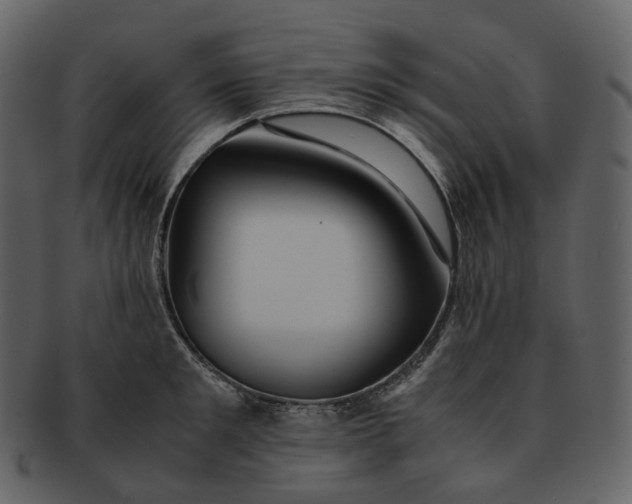 X0000092310901200710051236