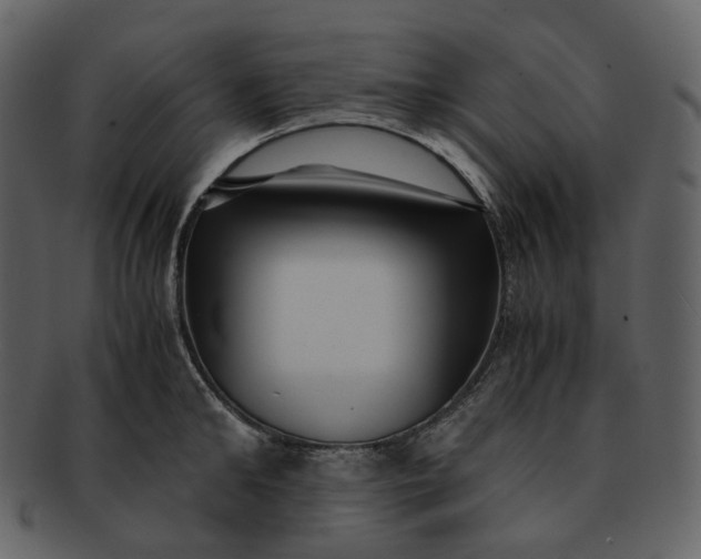 X0000092310902200710051236