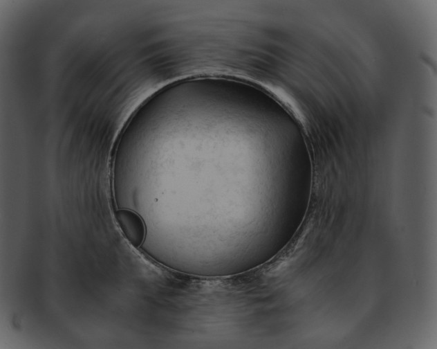 X0000092310903200710051236