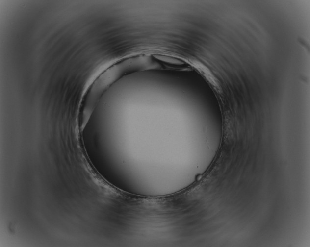 X0000092310904200710051236
