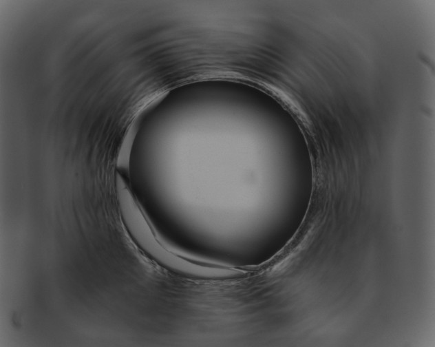 X0000092310905200710051236