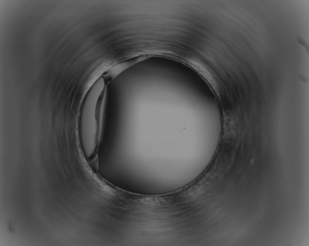 X0000092310906200710051236