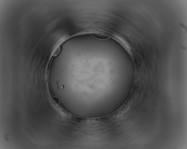 X0000092310907200710051236