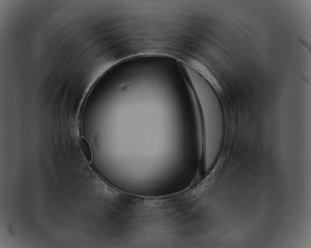 X0000092310908200710051236
