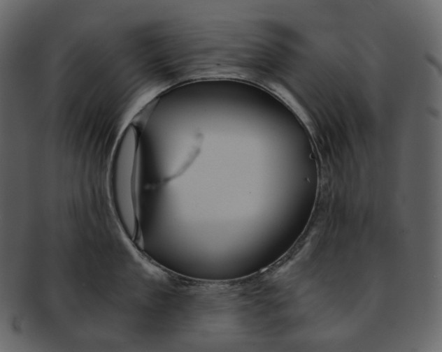 X0000092310909200710051236