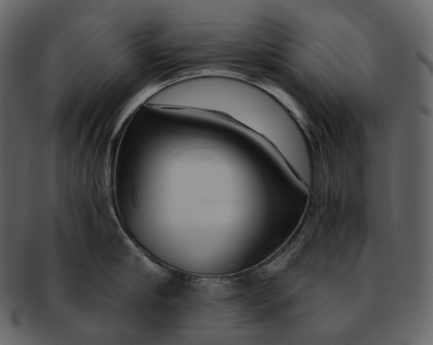 X0000092310910200710051236