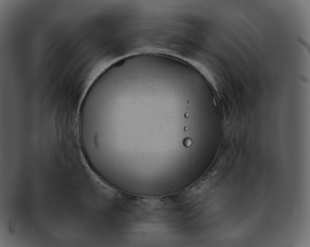 X0000092310911200710051236