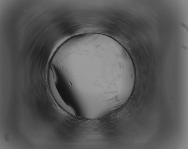 X0000092310912200710051236