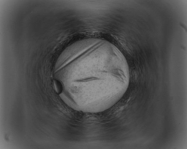X0000092310913200710051235