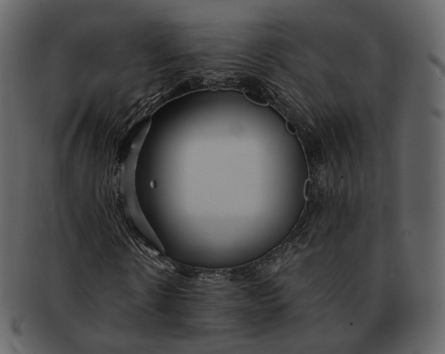 X0000092310914200710051235