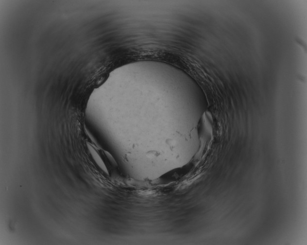 X0000092310916200710051235