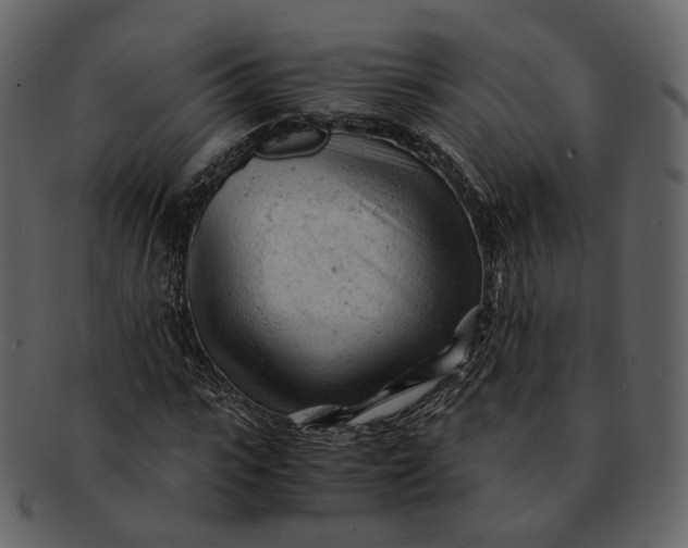 X0000092310919200710051235