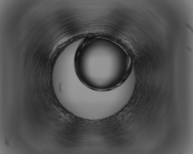 X0000092310920200710051235