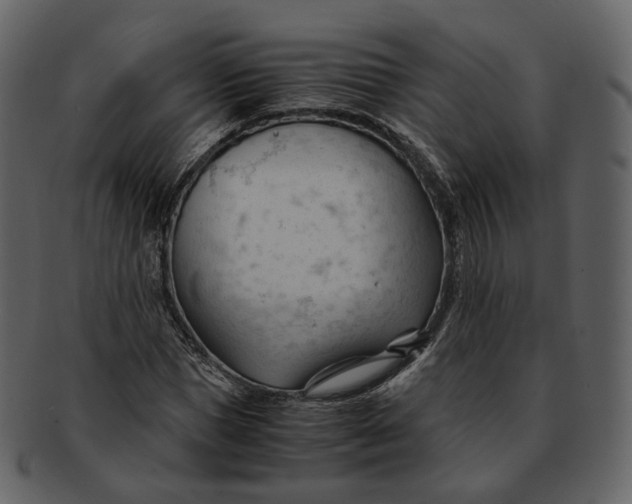 X0000092310921200710051235