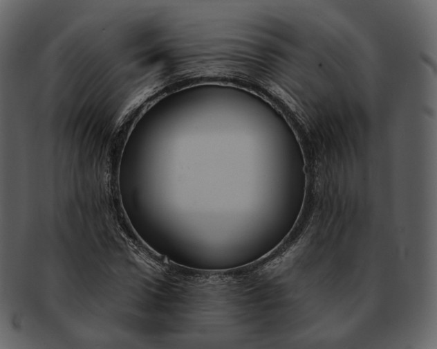 X0000092310922200710051236