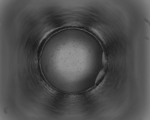 X0000092310923200710051236