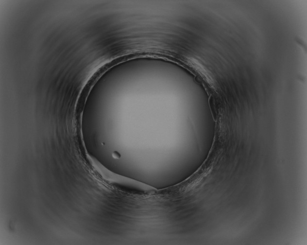 X0000092310924200710051236