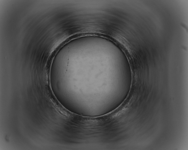 X0000092310925200710051236
