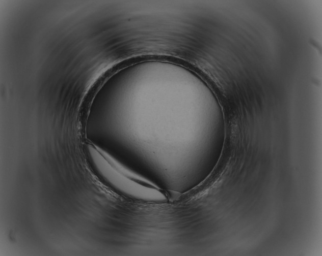 X0000092310926200710051236