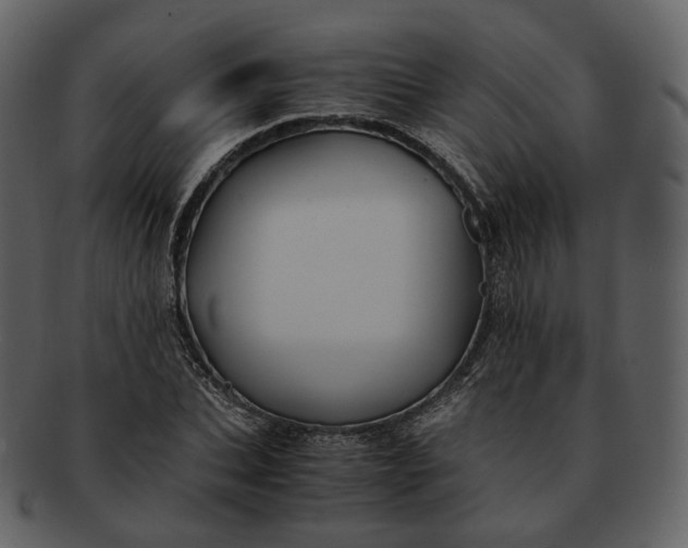 X0000092310927200710051236