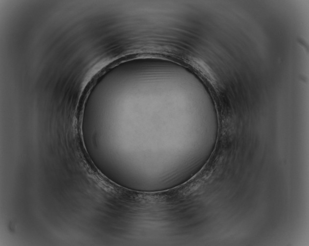 X0000092310928200710051236