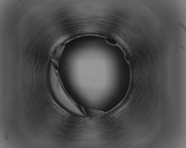 X0000092310930200710051236