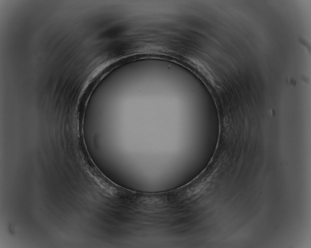 X0000092310931200710051236
