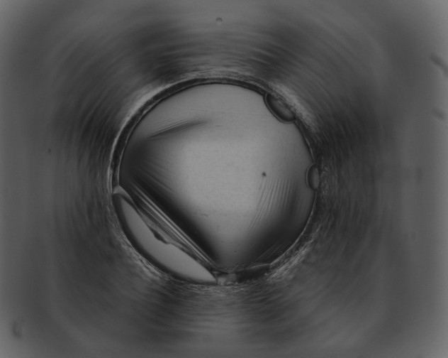 X0000092310932200710051236