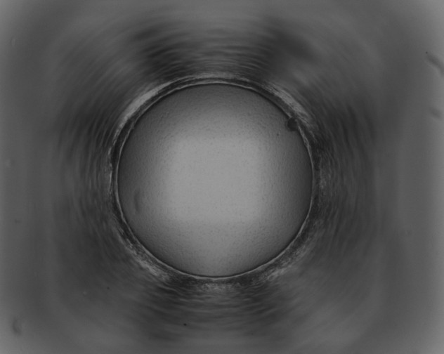 X0000092310933200710051236