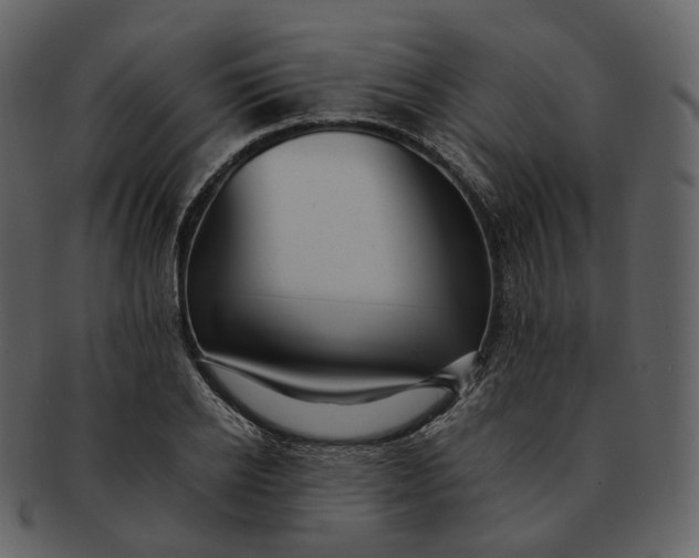 X0000092310934200710051236