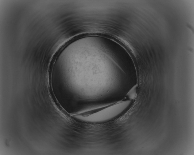 X0000092310935200710051236